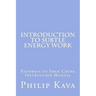 Introduction to Subtle Energy Work: Pathways to Shen Ching Instruction Manual