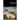 Maxims and Reflections
