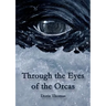 Through the Eyes of the Orcas