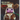 Did You See Those Cows?: An ABC Cow Adventure