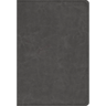 Student Study Bible-ESV