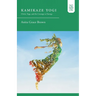 Kamikaze Yogi: Christ, Yoga, and the Courage to Emerge