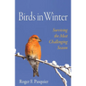 Birds in Winter: Surviving the Most Challenging Season
