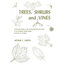 Trees, Shrubs, and Vines: A Pictorial Guide to the Ornamental Woody Plants of the Northeastern United States Exclusive of Conifers