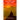 Open Awareness Open Mind: Finding lasting peace with the practice of meditation