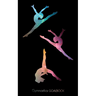 Gymnastics Goalbook (galaxy cover #7): Wag