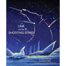 Link and the Shooting Stars