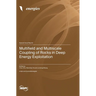 Multifield and Multiscale Coupling of Rocks in Deep Energy Exploitation