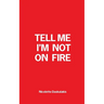 Tell Me I'm Not On Fire