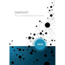 SNAPSHOT - Nxt unsurpassable blockchain solutions