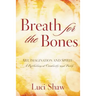 Breath for the Bones: Art, Imagination, and Spirit: Reflections on Creativity and Faith