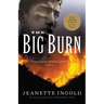 The Big Burn