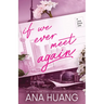 If We Ever Meet Again