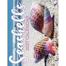 Seashells 2027 Calendar