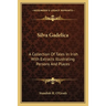 Silva Gadelica: A Collection of Tales in Irish with Extracts Illustrating Persons and Places