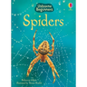 Spiders