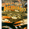 What Is an Arthropod?