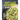Guacamole Cookbook: Trendy and Fun Guacamole Recipes