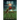 Vinium