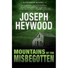 Mountains of the Misbegotten: A Lute Bapcat Mystery
