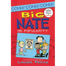 Big Nate: Mr. Popularity
