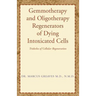 Gemmotherapy and Oligotherapy Regenerators of Dying Intoxicated Cells: Tridosha of Cellular Regeneration