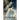 Celebration - Heaven's Rewards Show