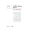 Compendium of Antitrust Damages Actions - 2nd Edition: International Chamber of Commerce (ICC)