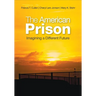 The American Prison: Imagining a Different Future