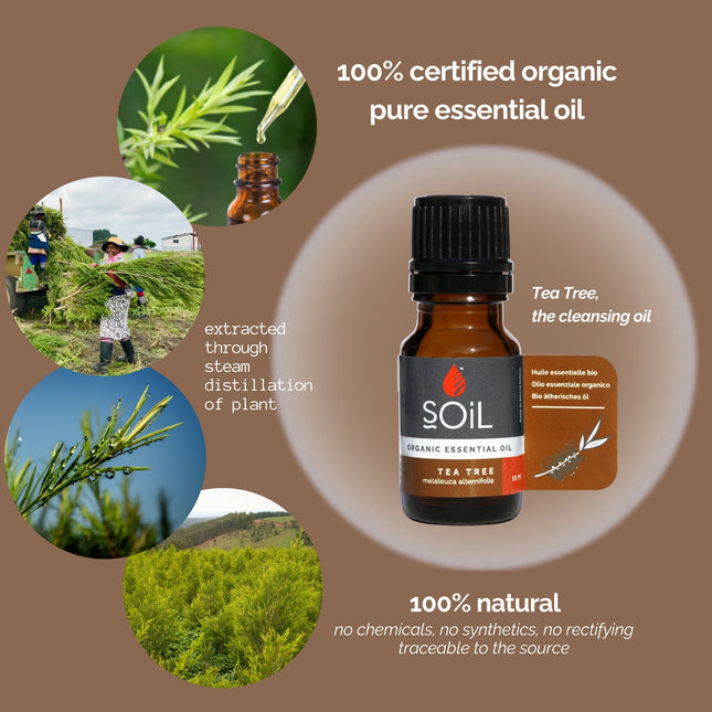 Organic Tea Tree Essential Oil (Melaleuca Alternifolia) 10ml by SOiL Organic Aromatherapy and Skincare
