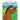 Horses for Courses: Henry the Magical Horse in