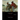 Incidents in the Life of a Slave Girl: Large Print