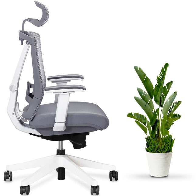 AeryChair Ergonomic Office Chair by EFFYDESK by Level Up Desks