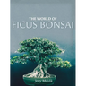 The World of Ficus Bonsai