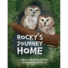 Rocky's Journey Home