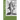 Agesilaus