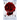Blood Red Snow White
