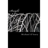 Straight: A novel in the Irish-Maori tradition