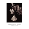 The Salt Print Manual
