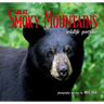 Great Smoky Mountains Wildlife Portfolio
