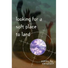 Looking for a Soft Place to Land