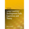 Large Countries' Development Path: Experience and Theory