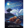 The Secret of Glendunny #2: The Searchers