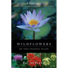 Wildflowers of the Coastal Plain: A Field Guide
