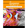 Laguna Beach Volume 2: Sea, Lost Ocean, Dolphin, Shark Grayscale coloring books for adults Relaxation Art Therapy for Busy People (Adult Colo
