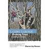 Lessons Learned Climbing Trees