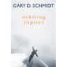 Orbiting Jupiter