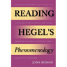 Reading Hegel's Phenomenology