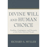 Divine Will and Human Choice: Freedom, Contingency, and Necessity in Early Modern Reformed Thought