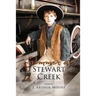 Summer at Stewart Creek